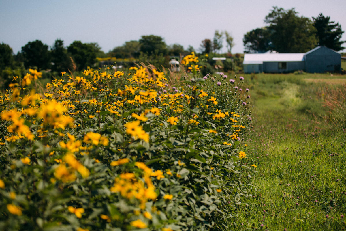 Burning Barrel KS, 66050