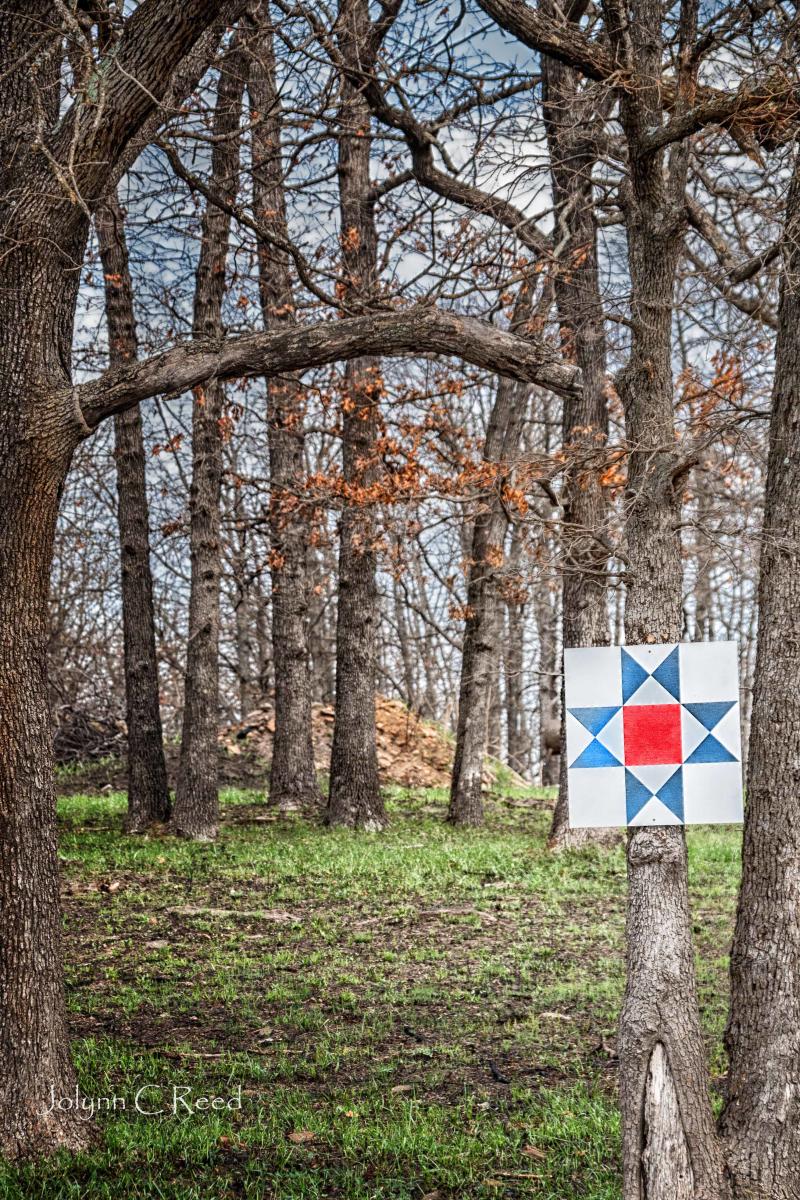 Sedan, Kansas Redbud and Barn Quilt Tour Sedan KS, 67361