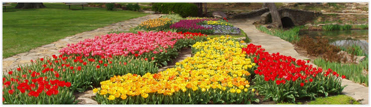 Rose & Rock Garden - Topeka KS, 66603