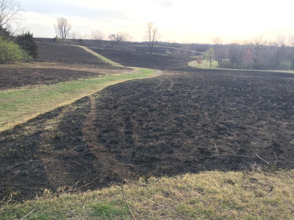 Iliff Commons Society