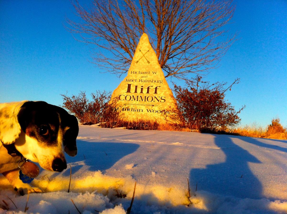 Iliff Commons Society Topeka KS, 66617