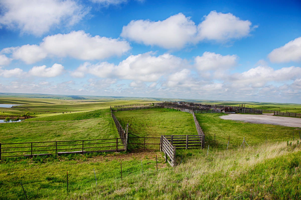 Bazaar Cattle Pens Bazaar KS, 66846