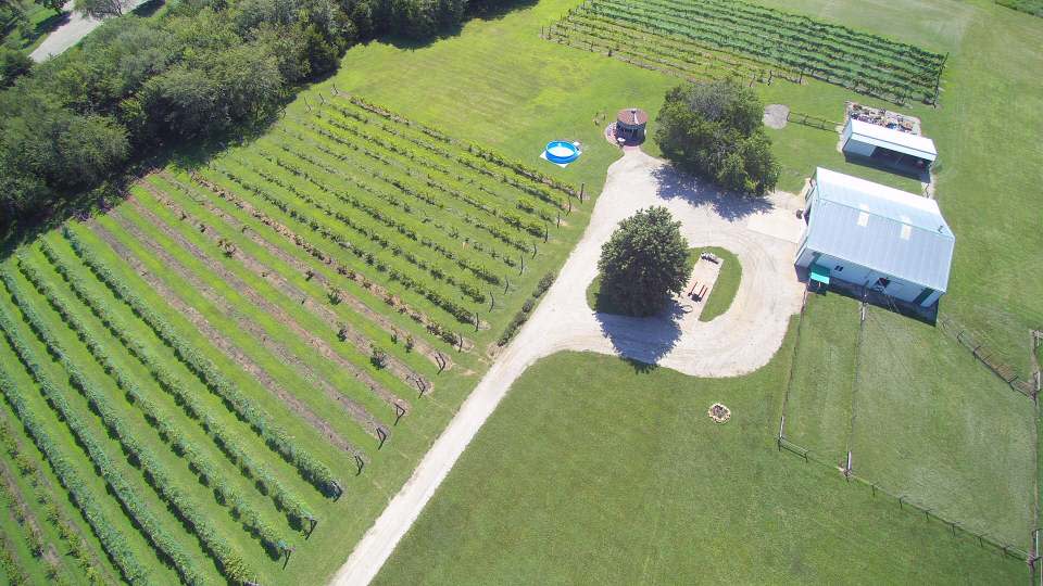 Wakarusa Valley Vineyard, LLC Wakarusa KS, 66546