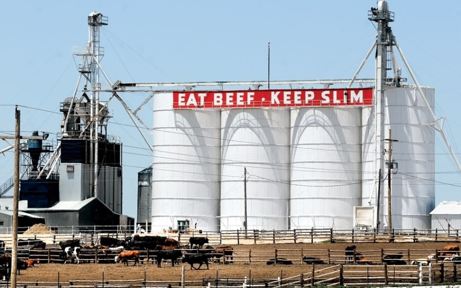 Brookover Feedyards Garden City KS, 67846