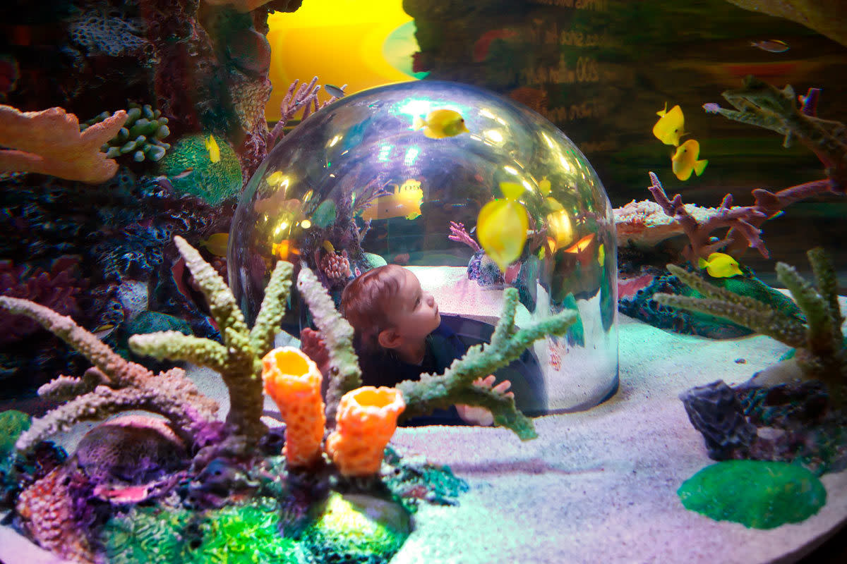 virtual aquarium planner