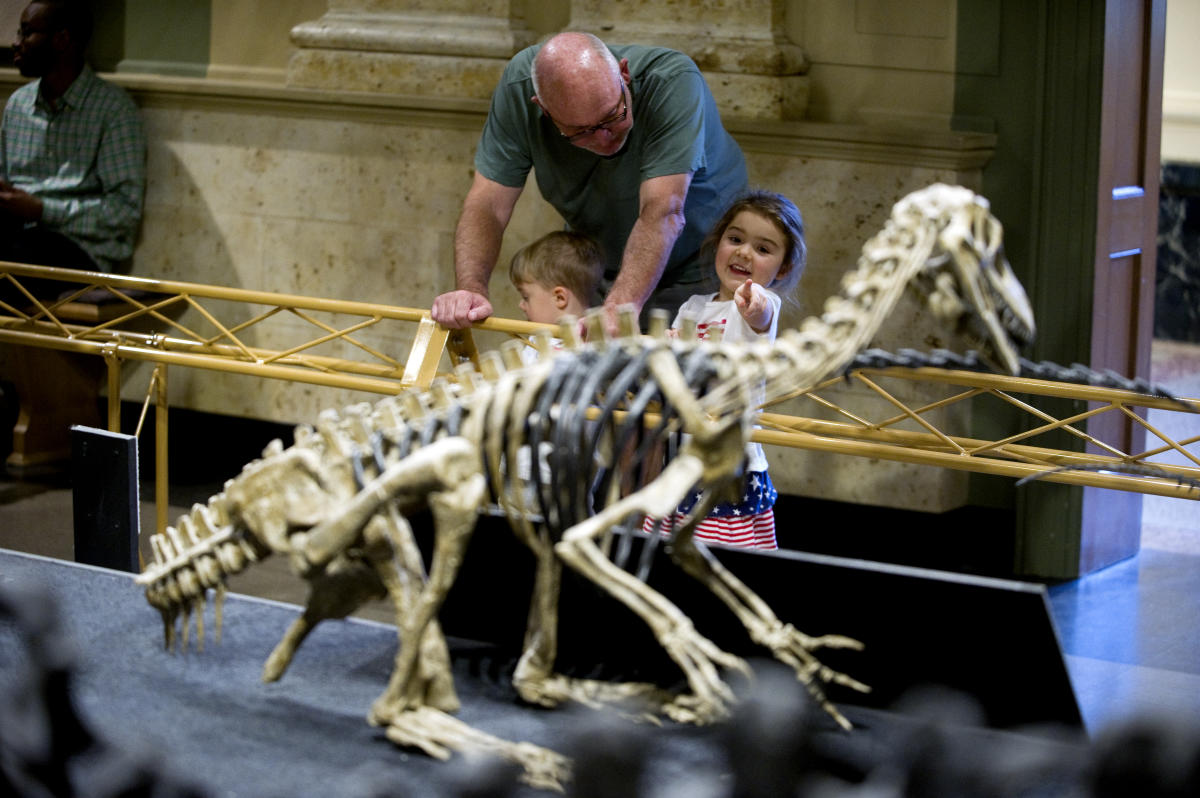 Dinosaur Discovery Museum | Kenosha, WI