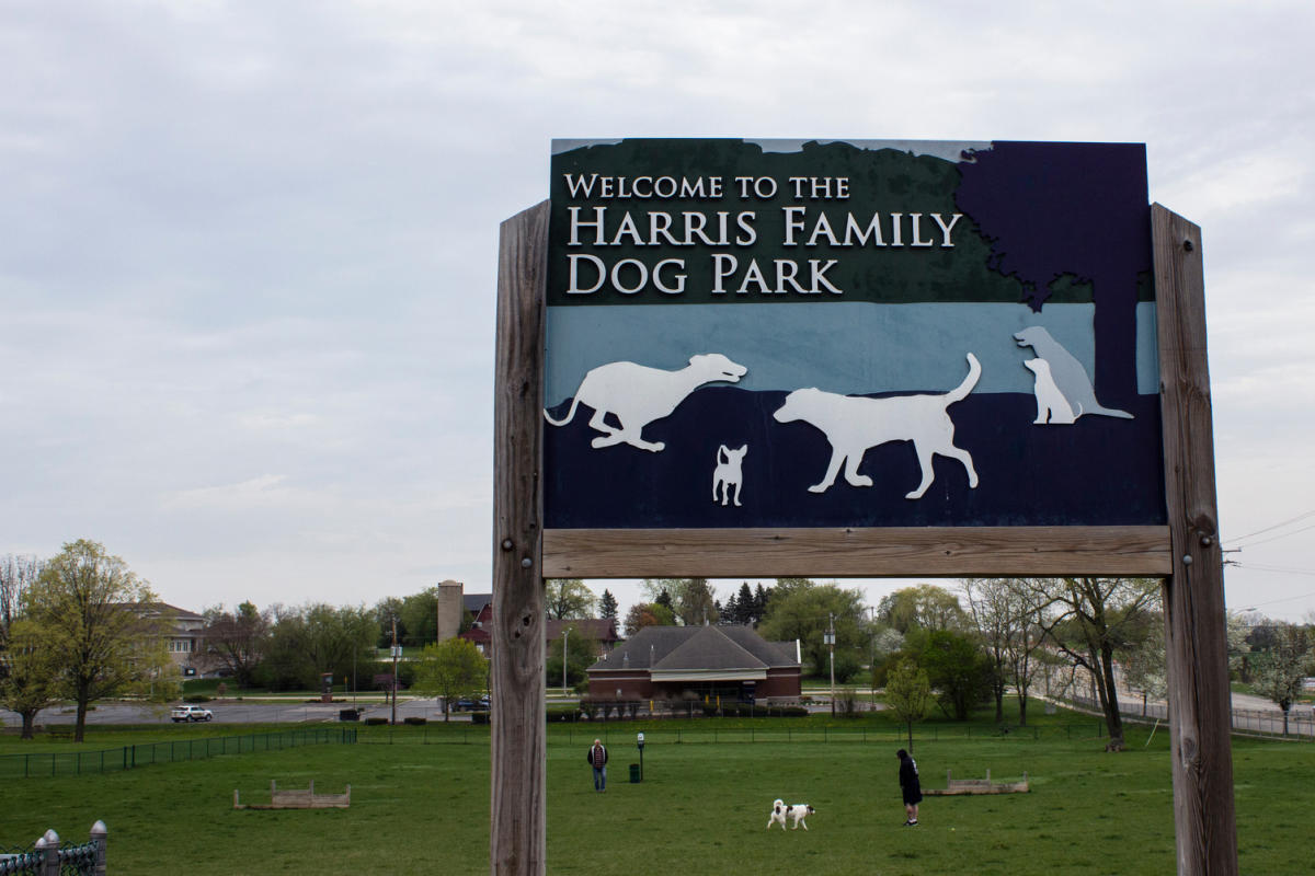 Harris Family Dog Park Paddock Lake, WI