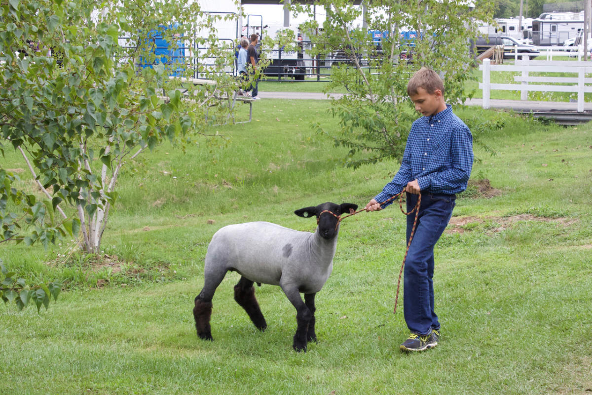 Kenosha County Fair Wilmot, WI