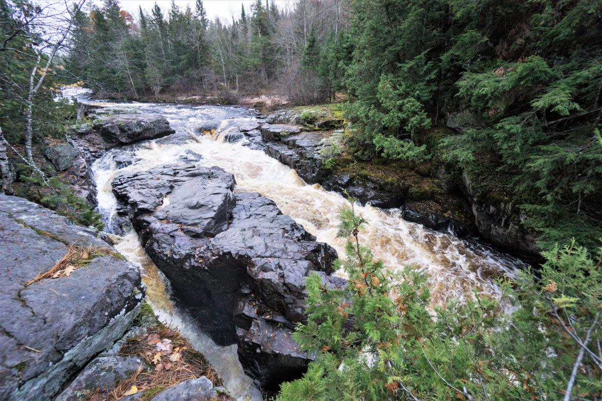 Sturgeon River Wilderness Area