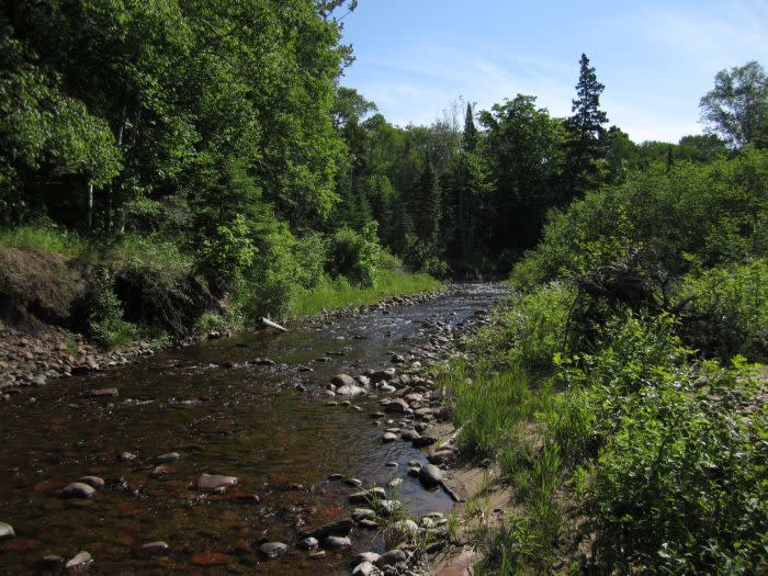 Gratiot River County Park