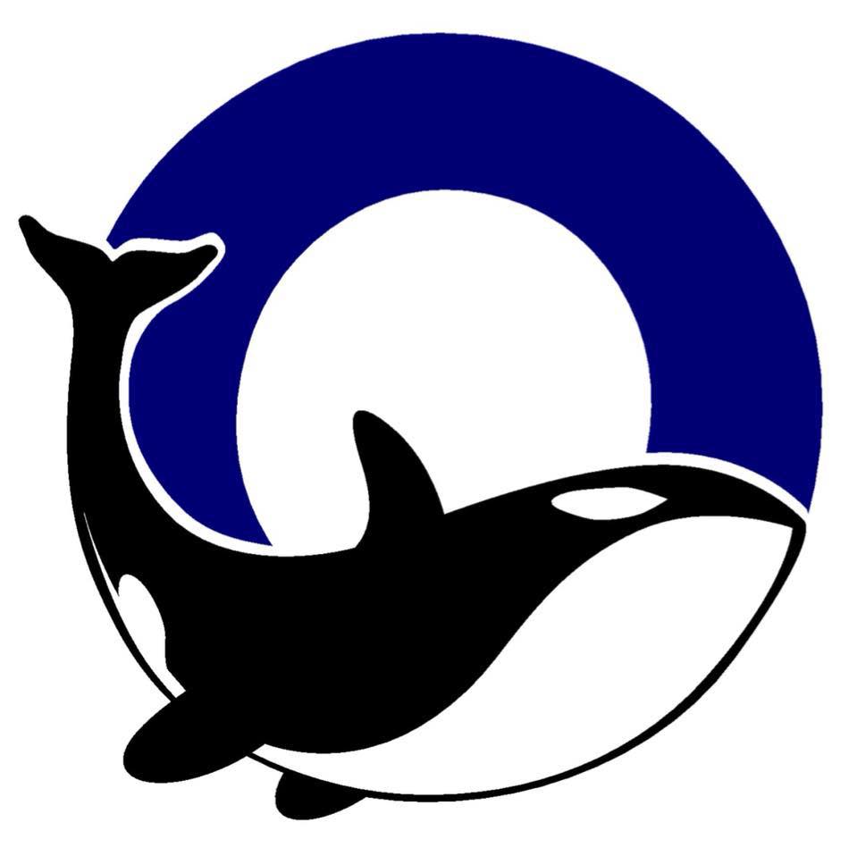 Orca Running