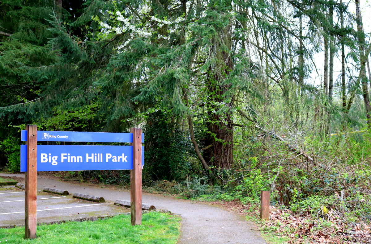 Big Finn Hill Park Kirkland, WA