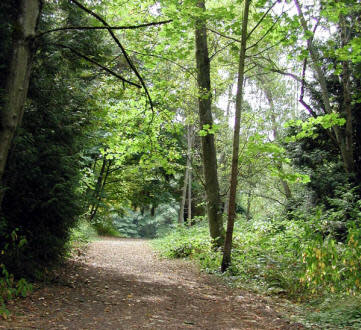 Watershed Park Kirkland WA