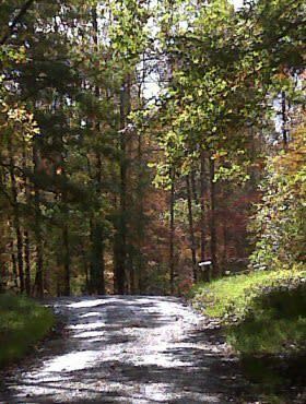 Chuck Swan Wildlife Management Area
