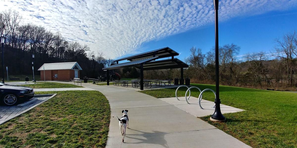 PetSafe Plumb Creek Dog Park