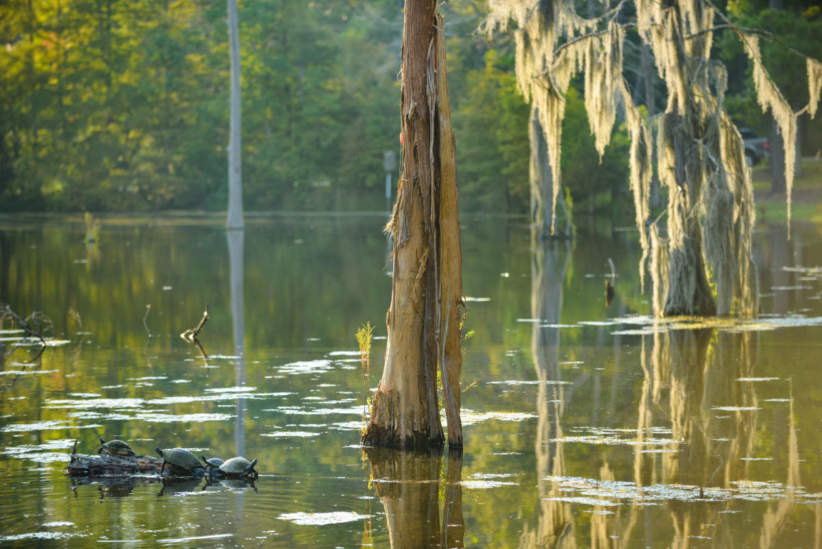 15 Off State Park Rentals For First Responders Mon Thurs