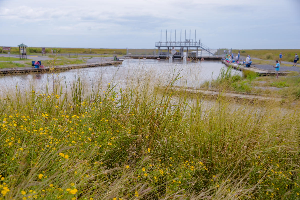 West Cove Recreation Area Hackberry, LA