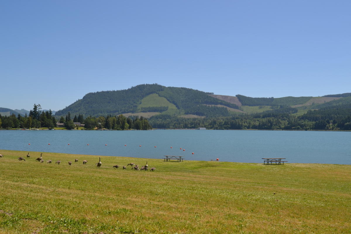 Dexter State Recreation Site