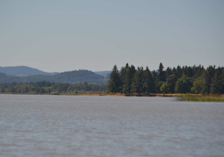 Fern Ridge Reservoir Fishing