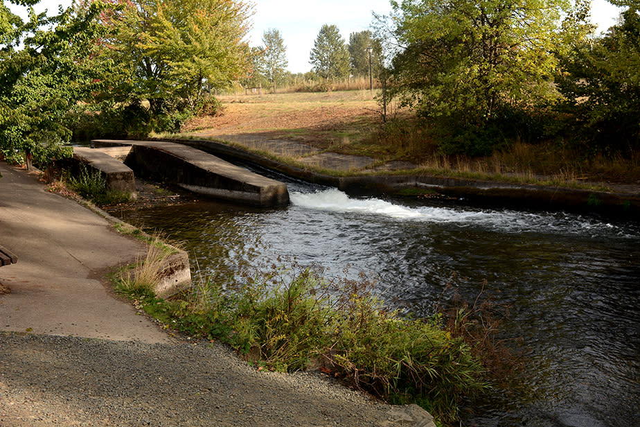 Alton Baker Canoe Canal