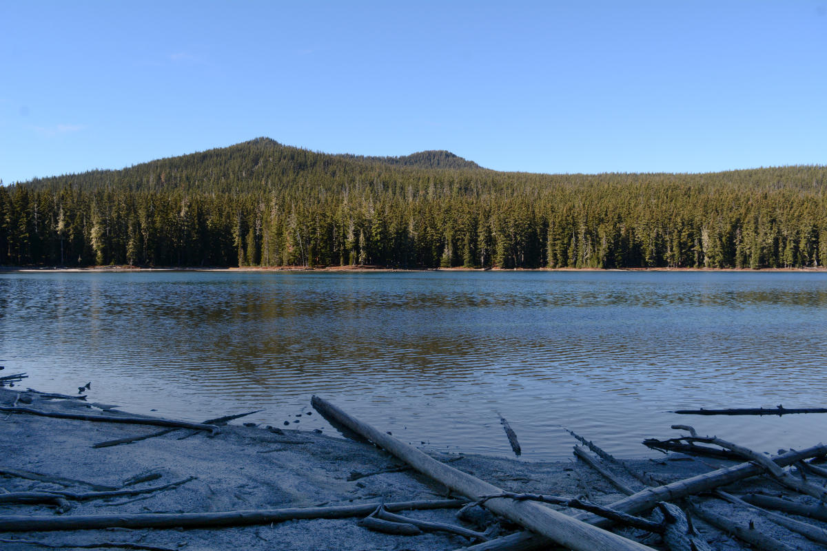 Betty Lake Trail 3664