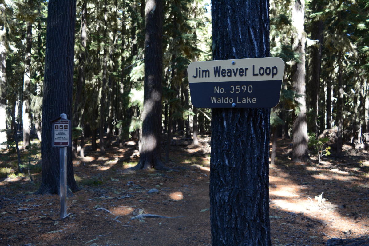 Jim Weaver National Recreation Trail (Waldo Lake Trail #3590)