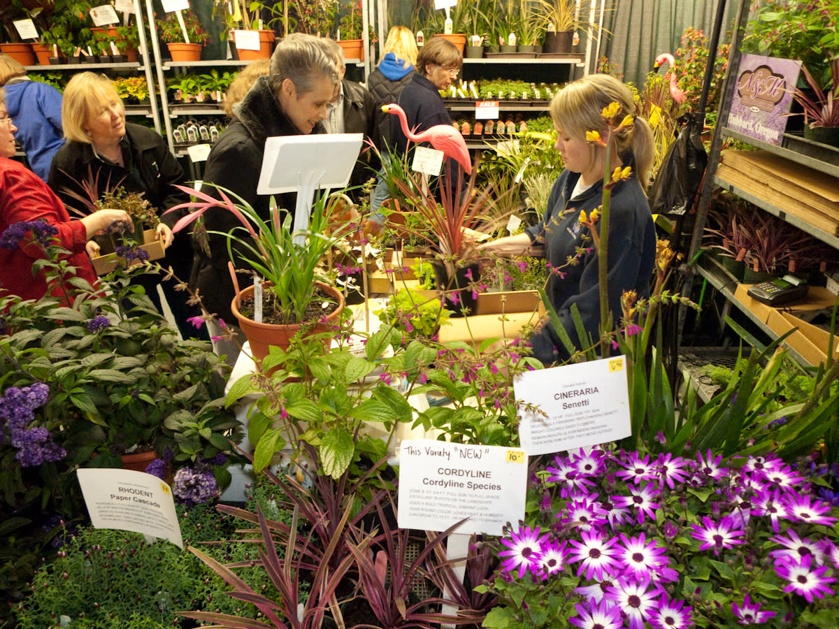 41st Lane County Home Garden Show