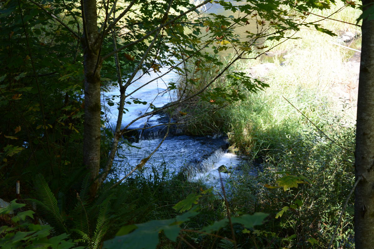 Lake Creek Falls