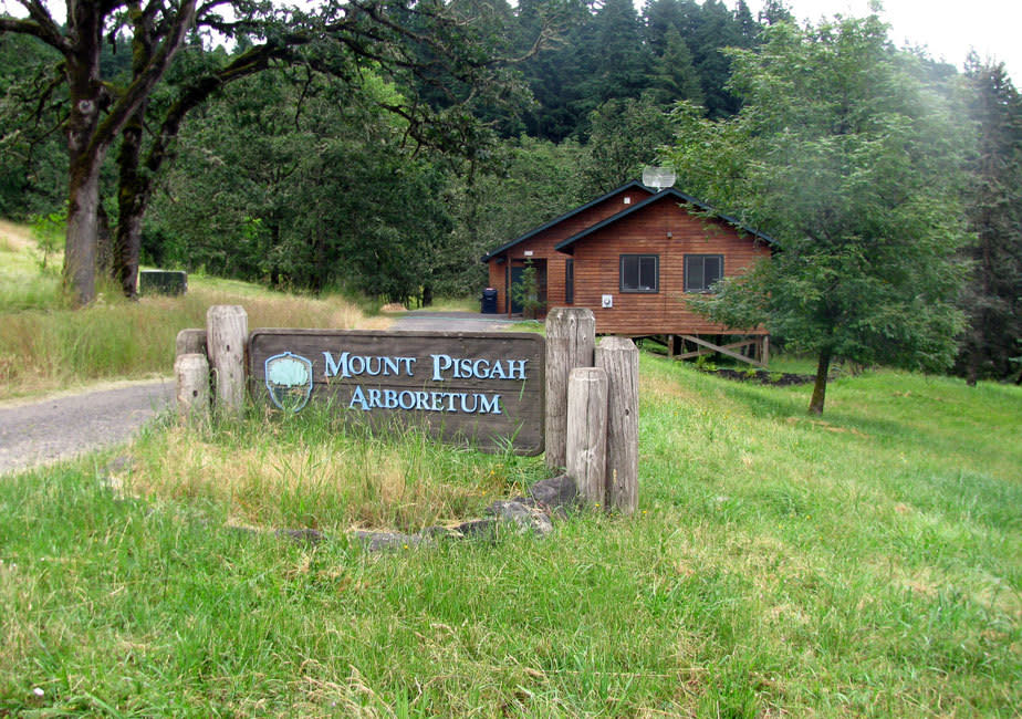 Mount Pisgah Arboretum