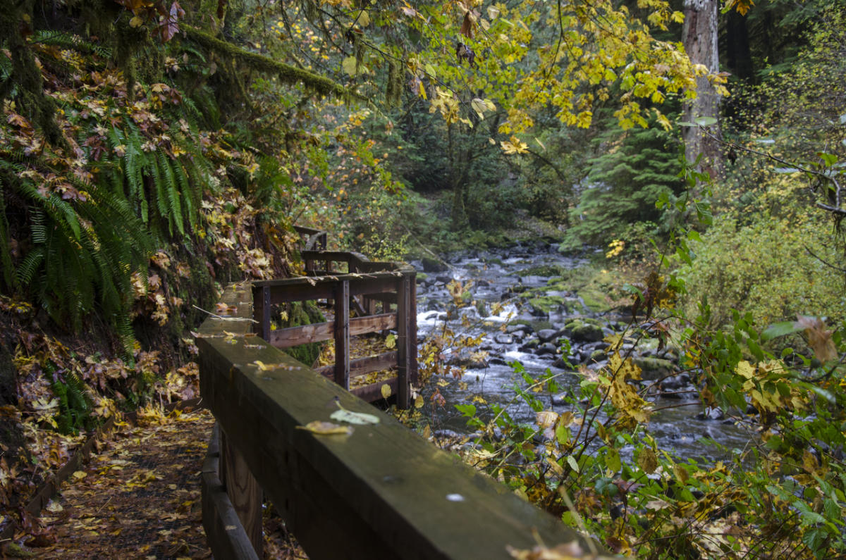 Sweet Creek Trail Complex