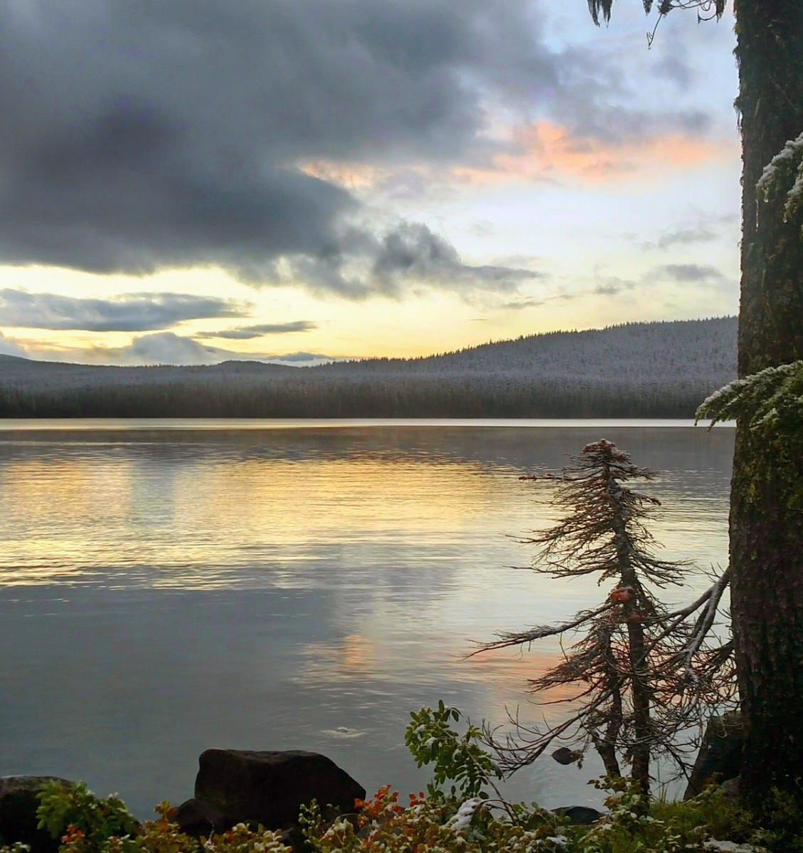 Waldo Lake