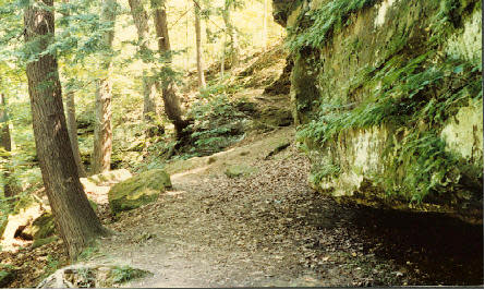 The Ledges In Grand Ledge And Fitzgerald Park