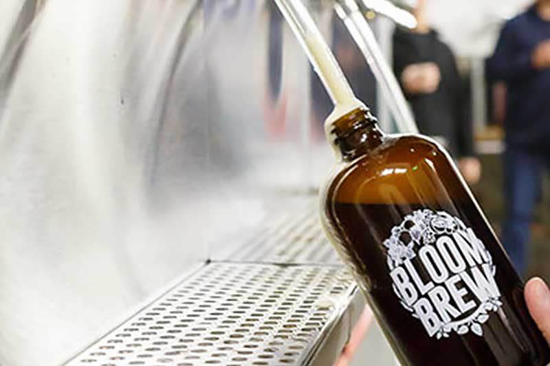 Bloom Brew