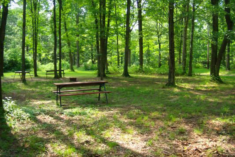 Tall Oaks Campground