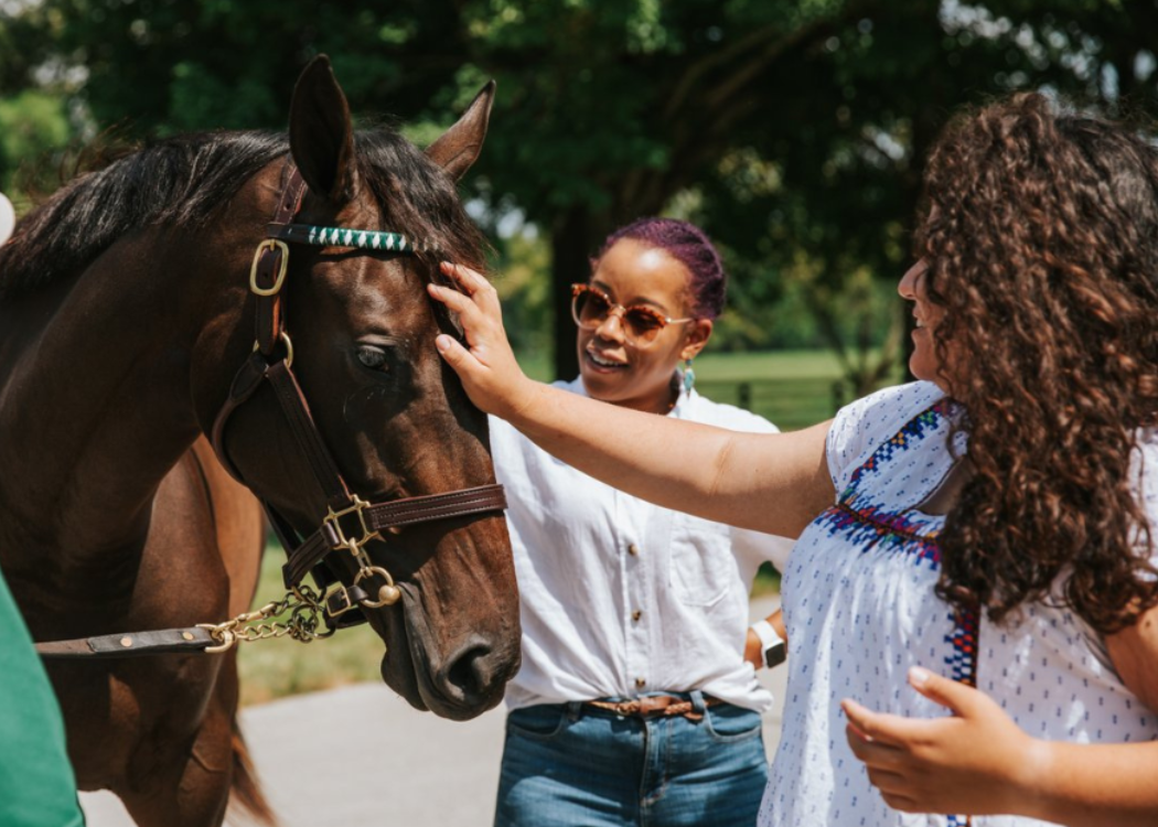 Gainesway Farm Lexington, KY VisitLex