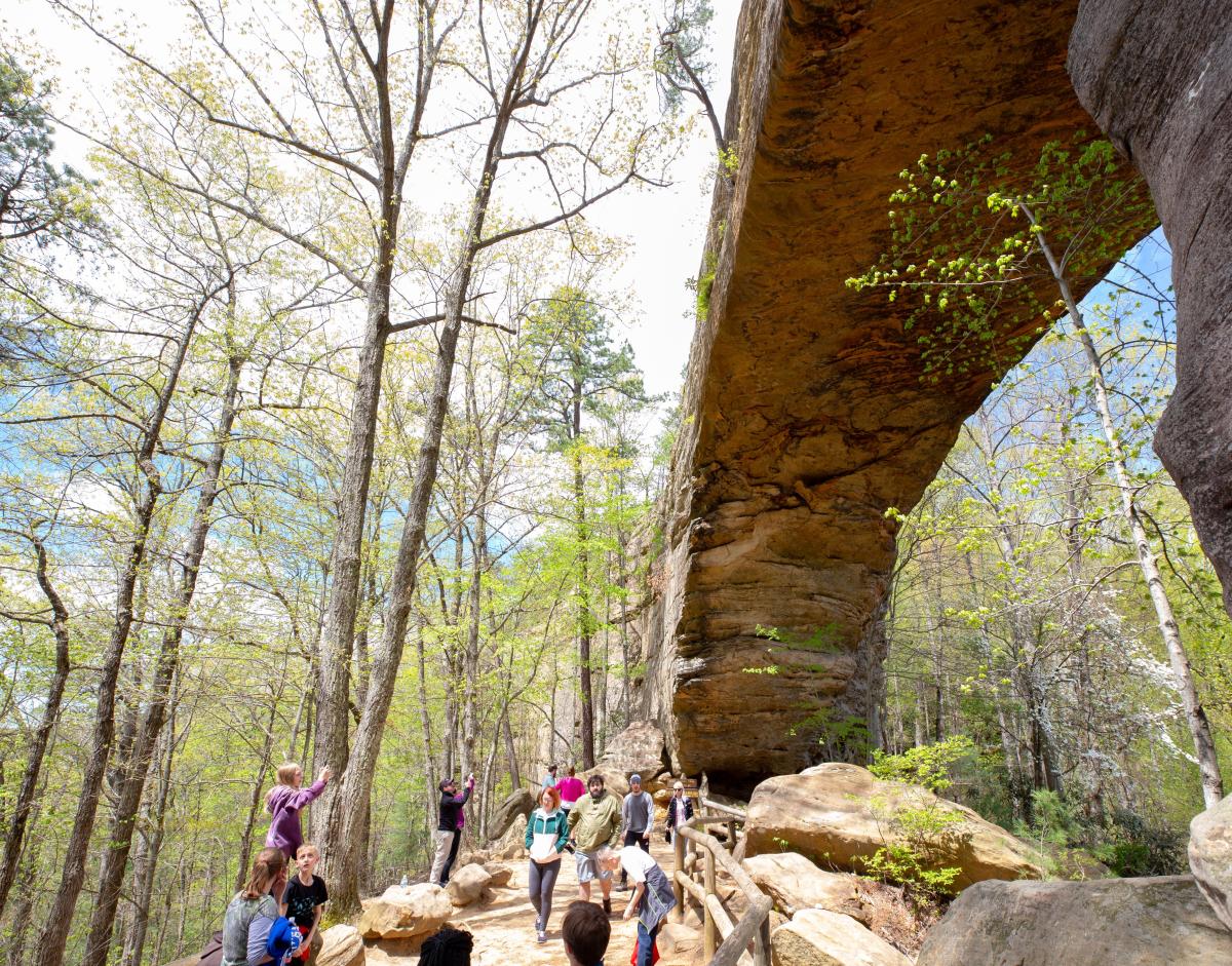 Red River Gorge Geological Area Lexington KY VisitLex
