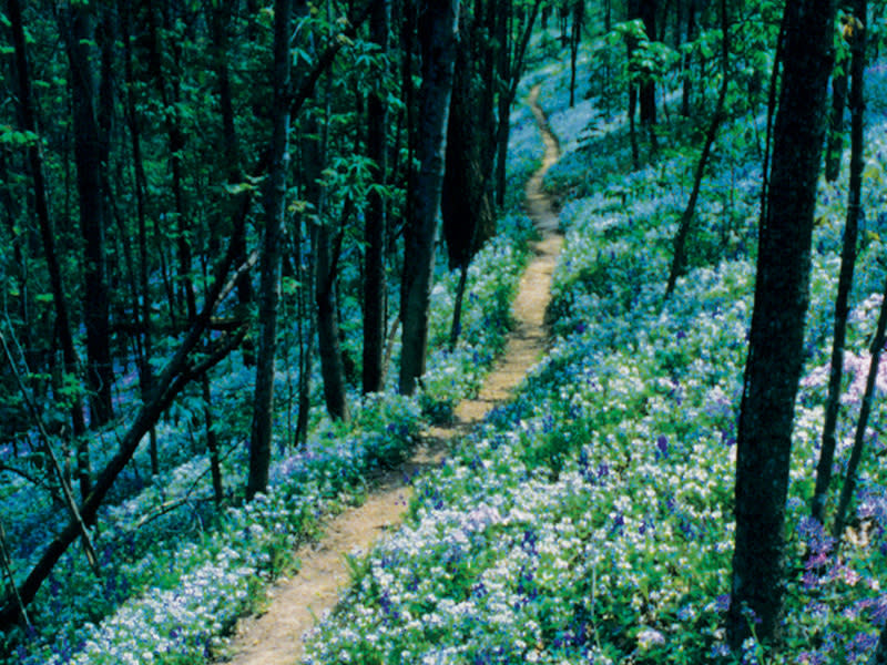 Raven Run Nature Sanctuary