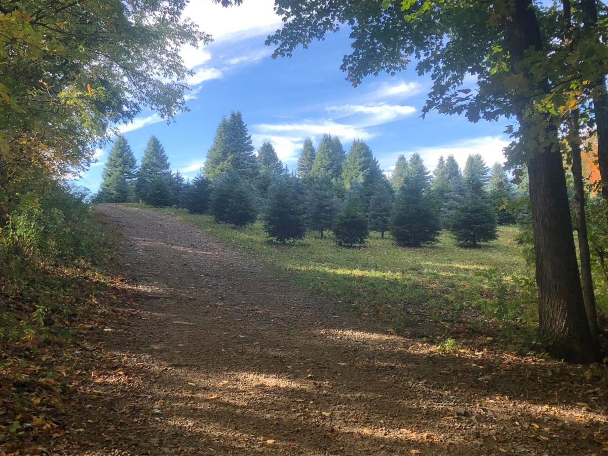 All Western Evergreen Nursery & Christmas Tree Farm