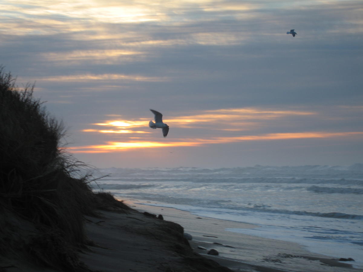 Montauk Point State Park