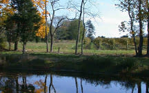 The Old Field Vineyards