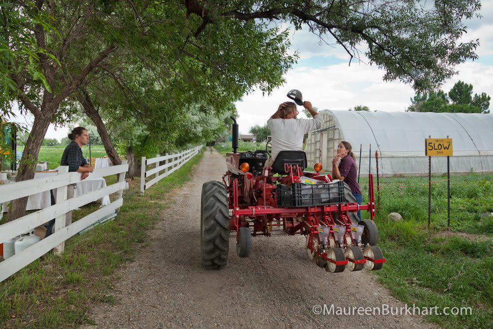 Aspen Moon Farm