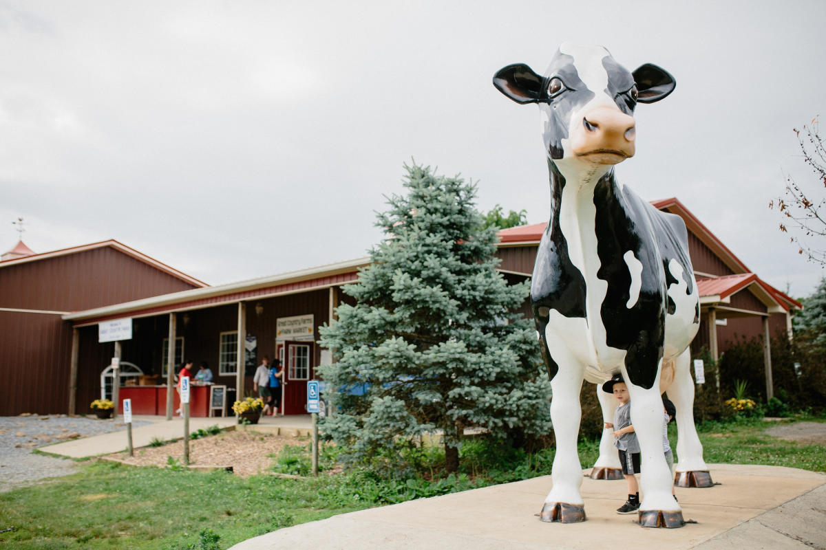 Great Country Farms Bluemont, VA 20135
