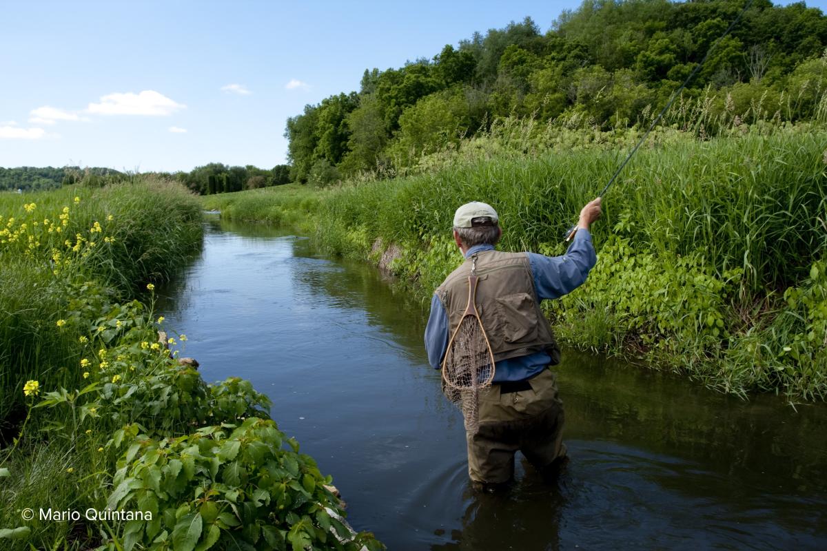 Black Earth Creek Wildlife Area Sunnyside Unit
