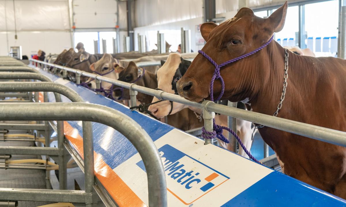 World Dairy Expo