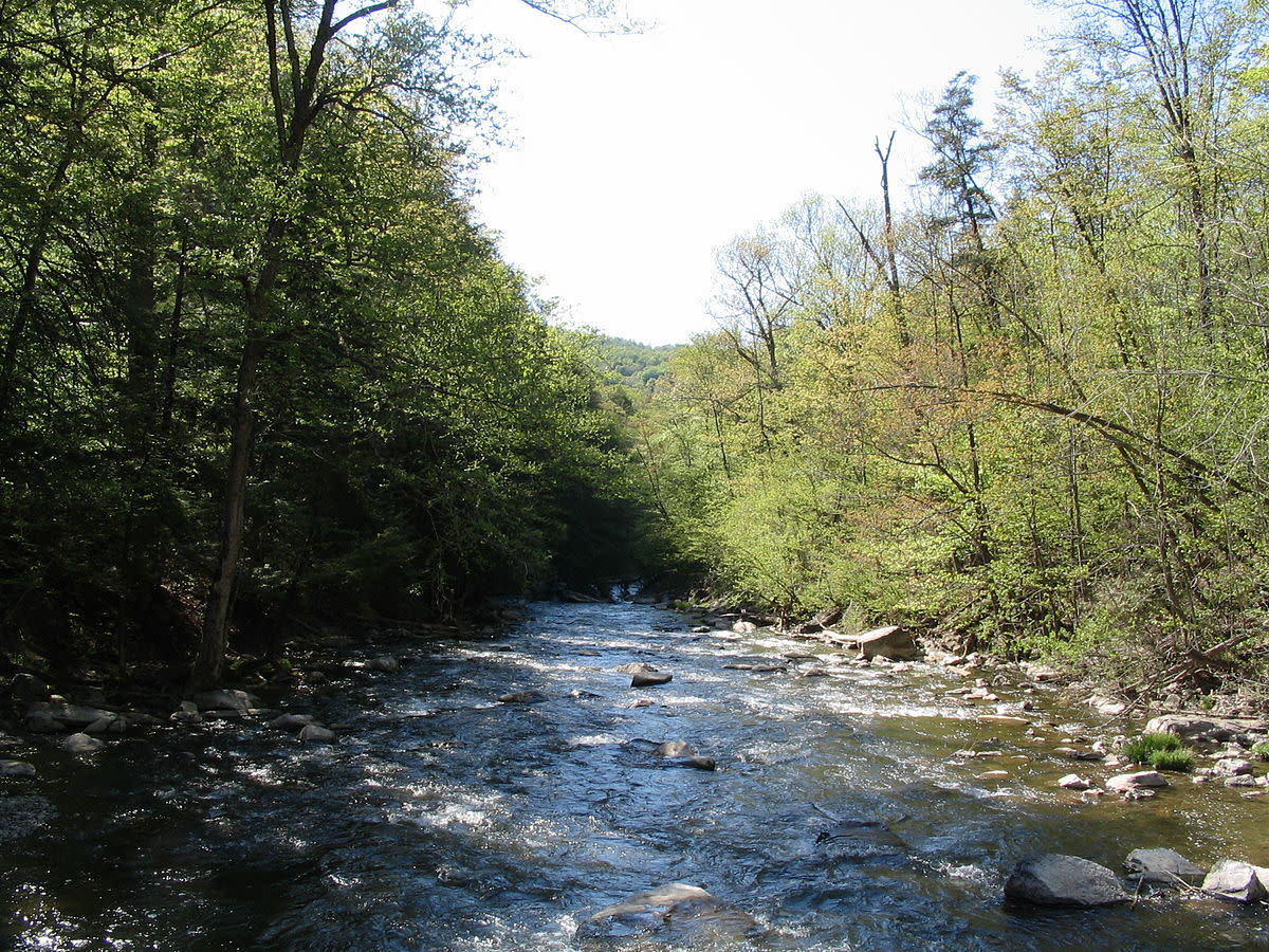 Chittenango Creek