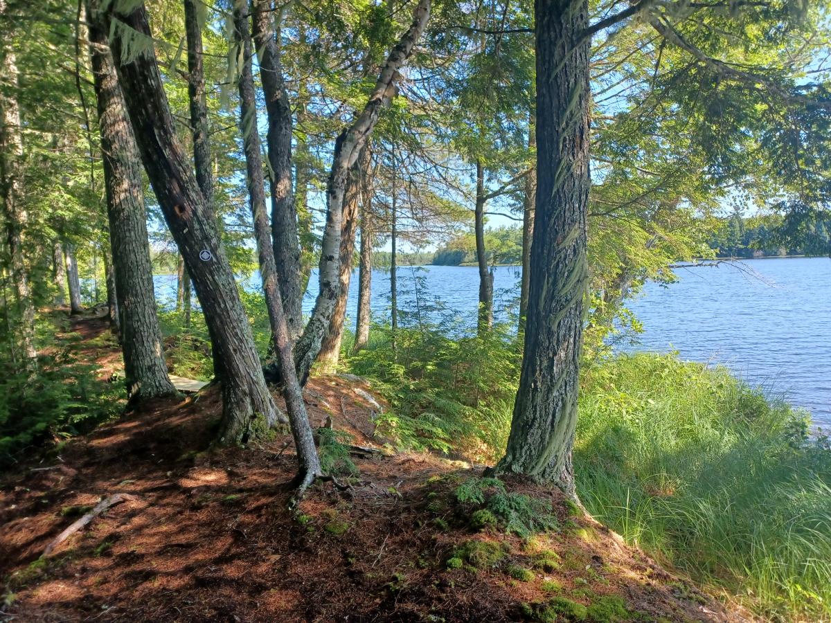 Downeast Lakes Land Trust