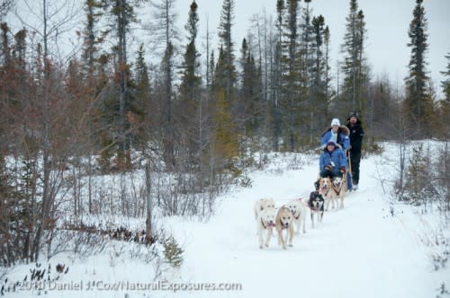 Wapusk Adventures