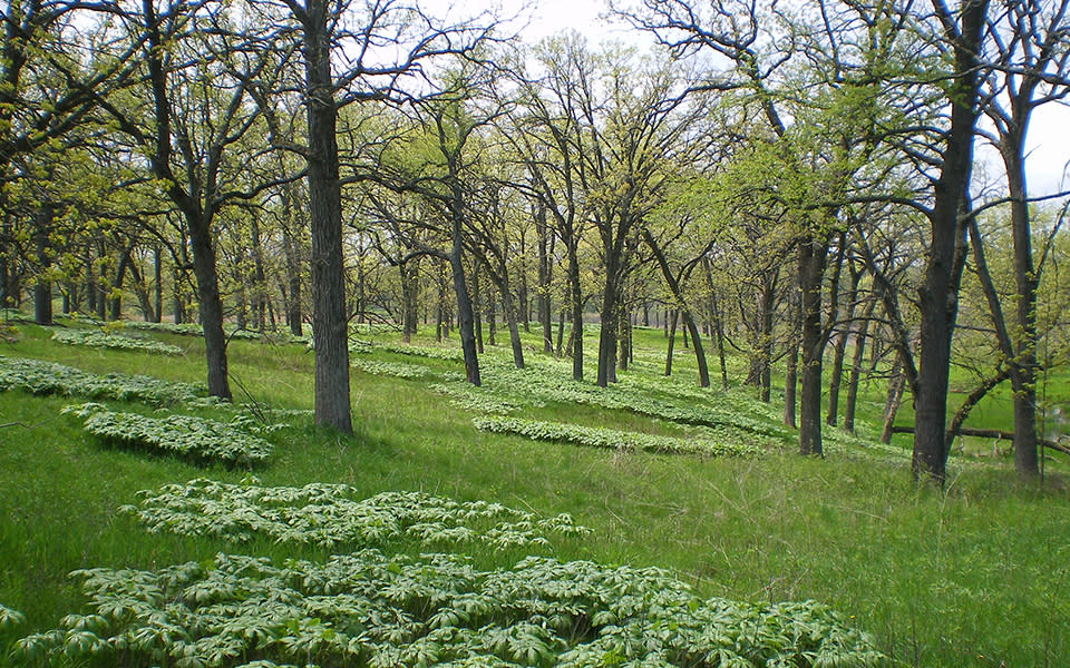 Silver Creek Conservation Area