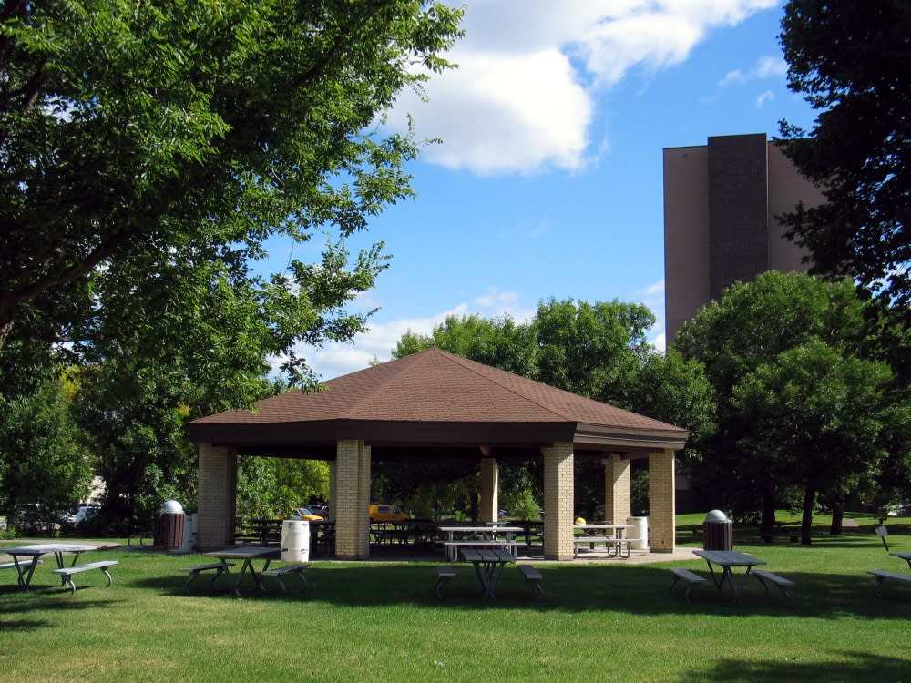 Centennial Park Brooklyn Center