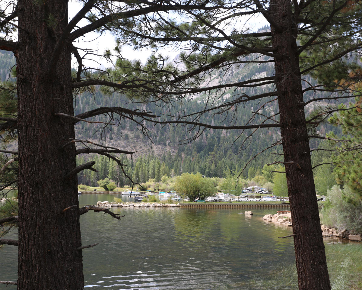 Mono Village Campground Map Annett's Mono Village